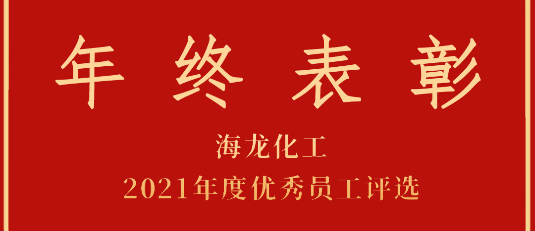 <strong>表彰！海龍化工2021年度優(yōu)秀員工優(yōu)秀部門評選</strong>